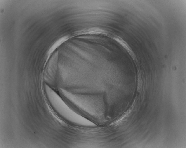 X0000080750850200701021029