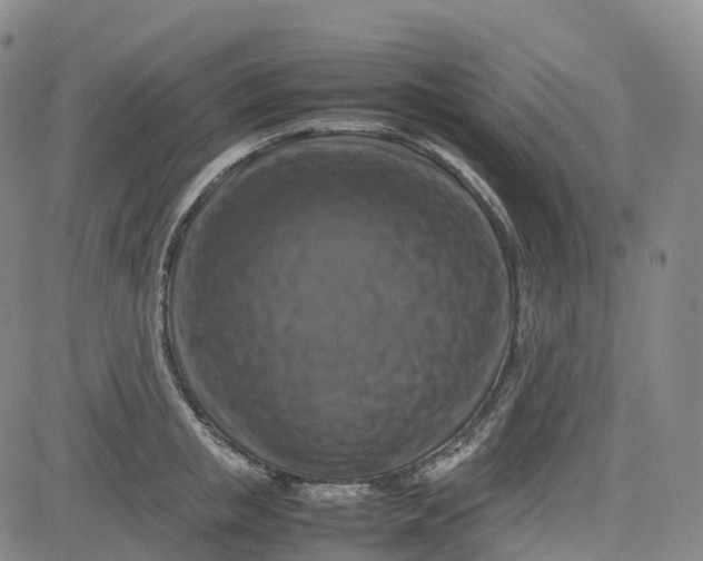X0000080750853200701021029