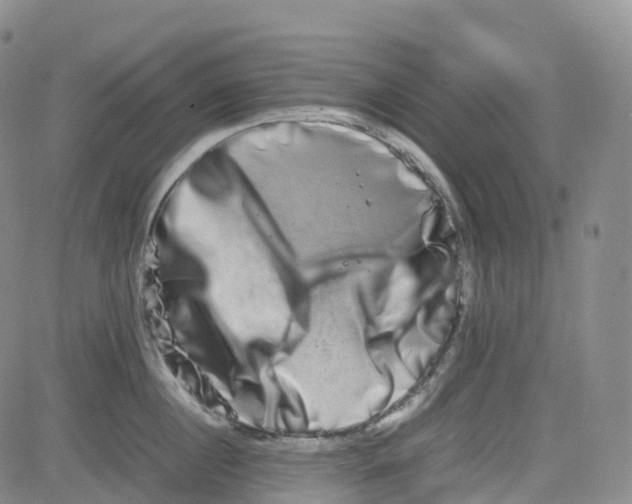 X0000080750860200701021029