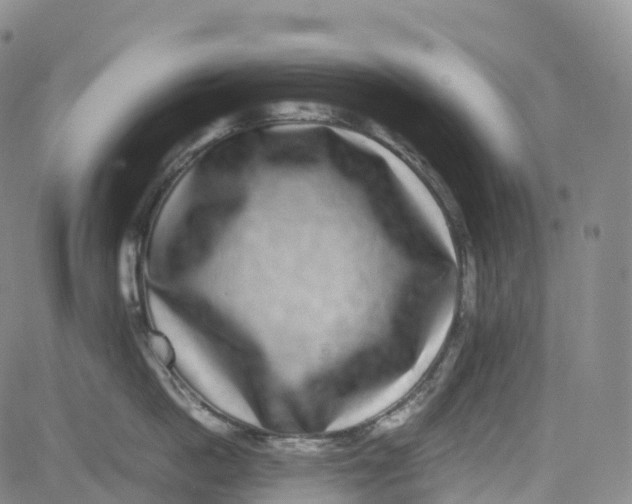 X0000080750862200701021029