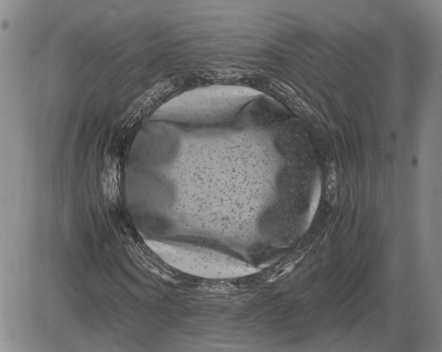 X0000080750866200701021028