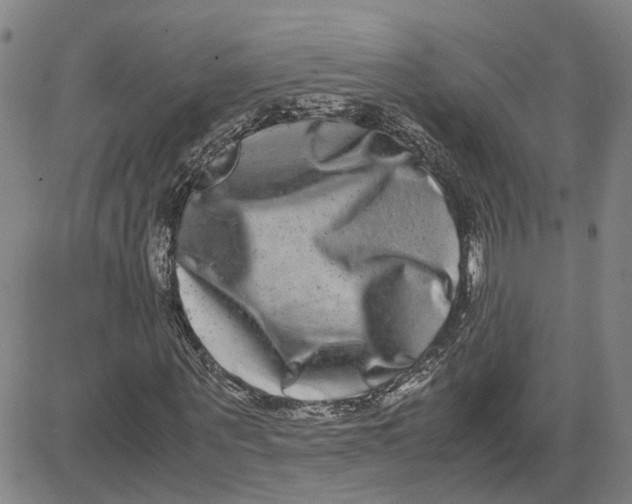 X0000080750867200701021028