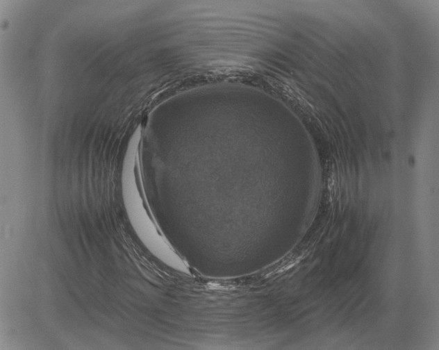 X0000080750868200701021028