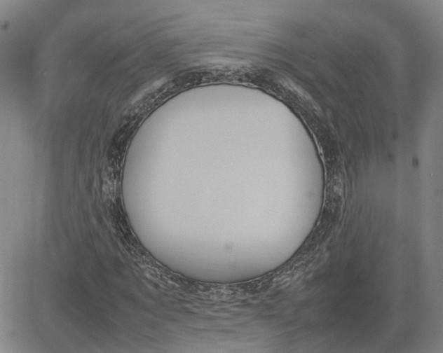 X0000080750869200701021028