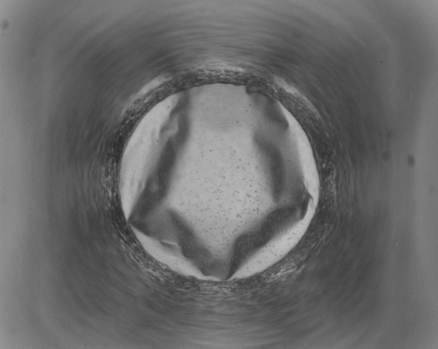 X0000080750870200701021028