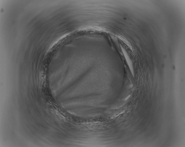 X0000080750872200701021028