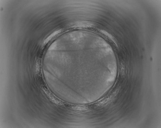 X0000080750874200701021028