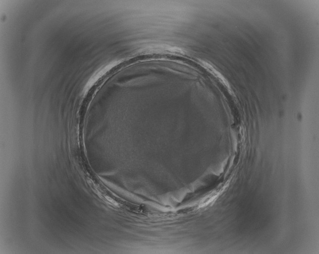 X0000080750877200701021028