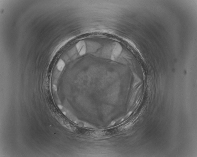 X0000080750879200701021028