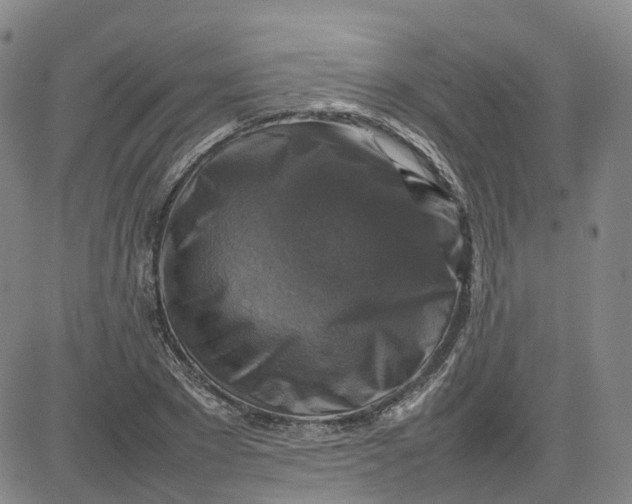 X0000080750881200701021028