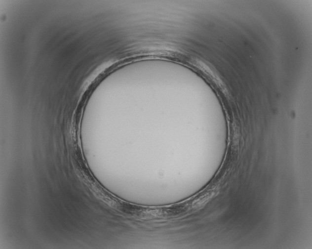 X0000080750883200701021028