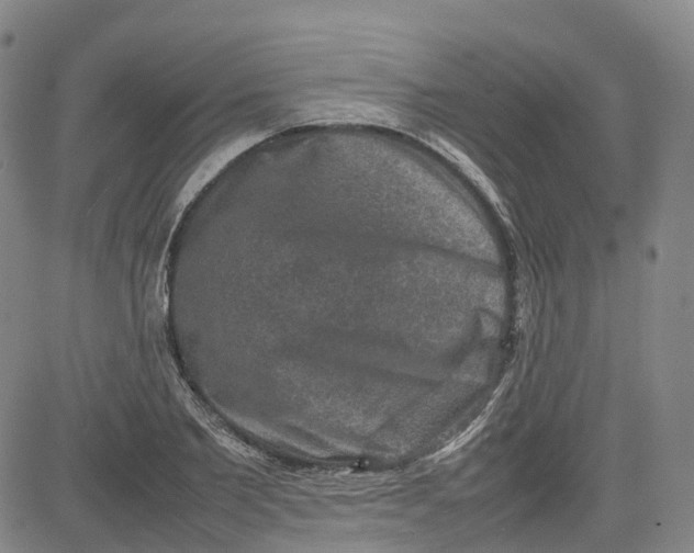 X0000080750885200701021028