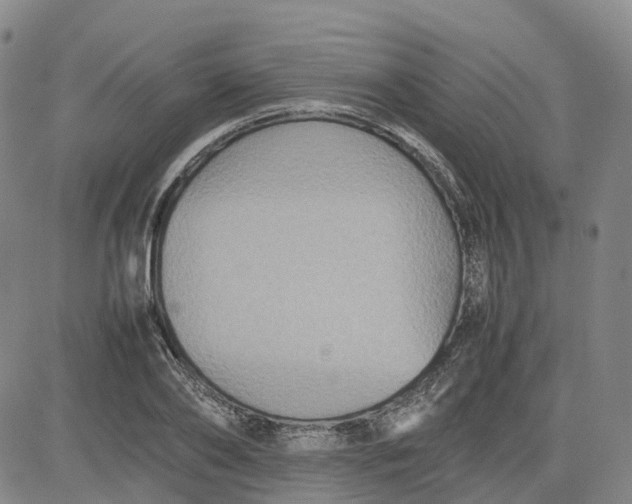 X0000080750886200701021028