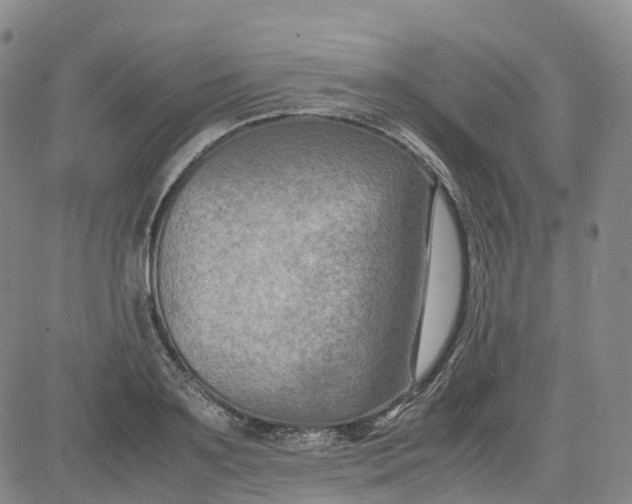 X0000080750891200701021028