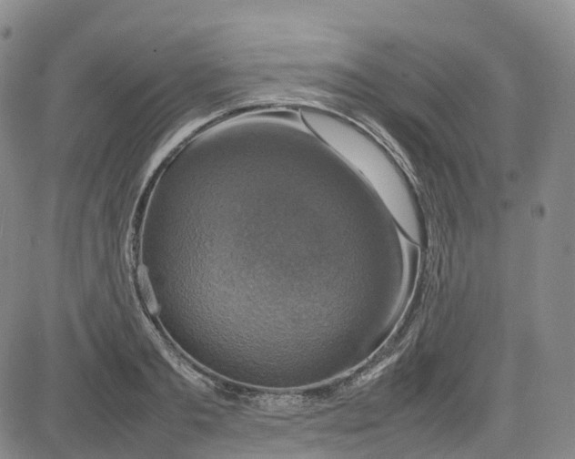 X0000080750893200701021028