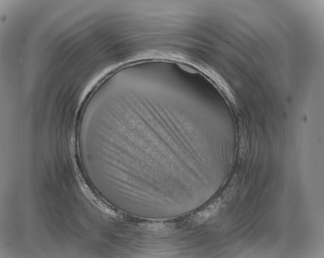 X0000080750896200701021028