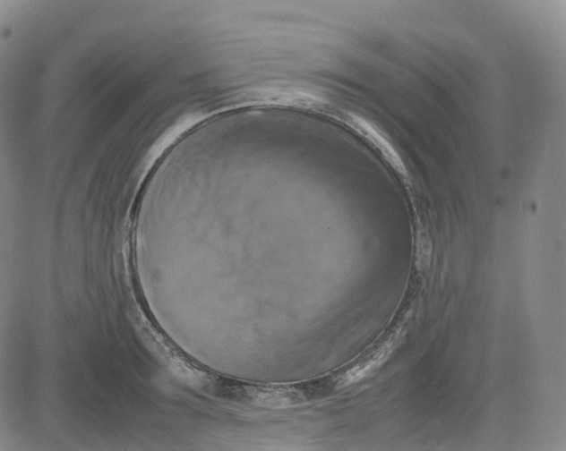 X0000080750899200701021028