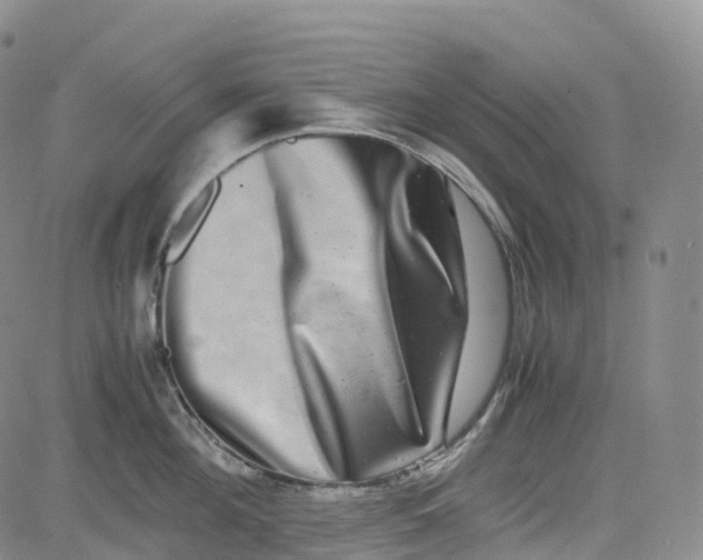 X0000080750908200701021028