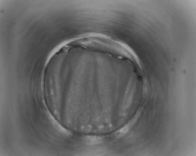 X0000080750910200701021028