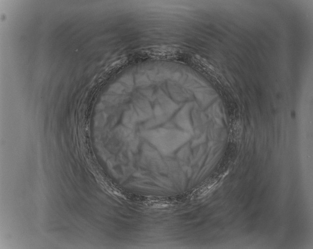 X0000080750913200701021027