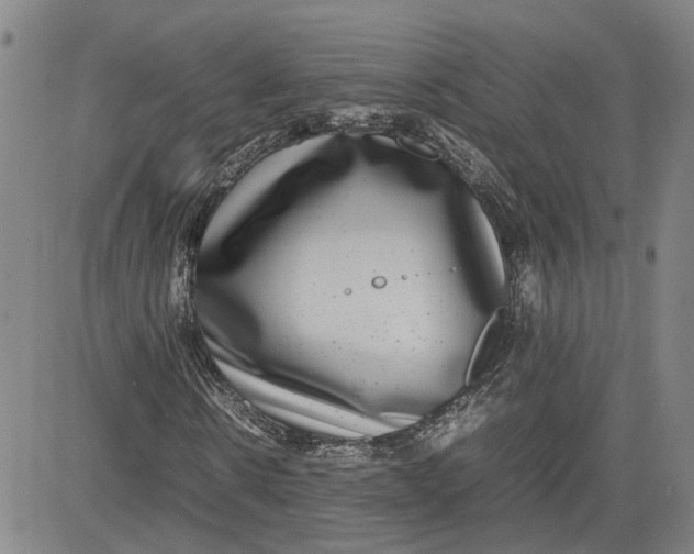 X0000080750914200701021027