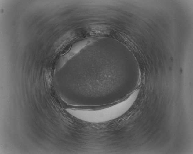 X0000080750915200701021027