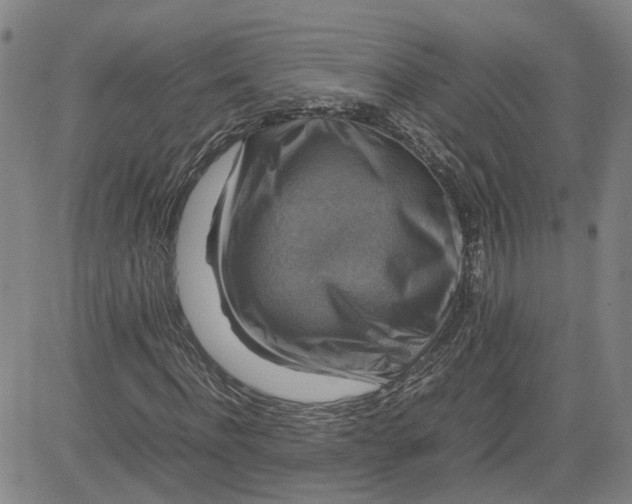 X0000080750916200701021027