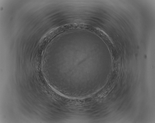 X0000080750919200701021027
