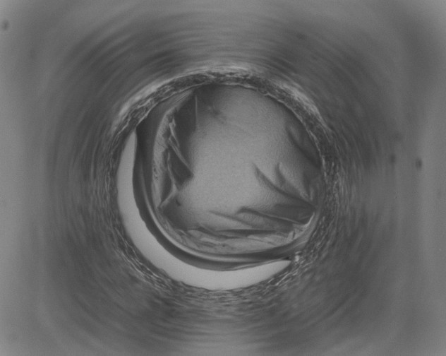 X0000080750920200701021027