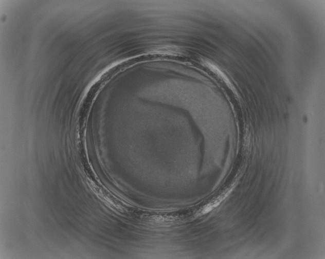 X0000080750923200701021027