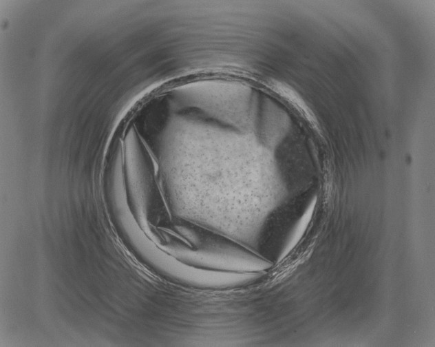 X0000080750924200701021027