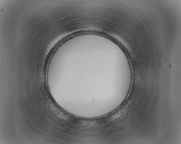 X0000080750927200701021027