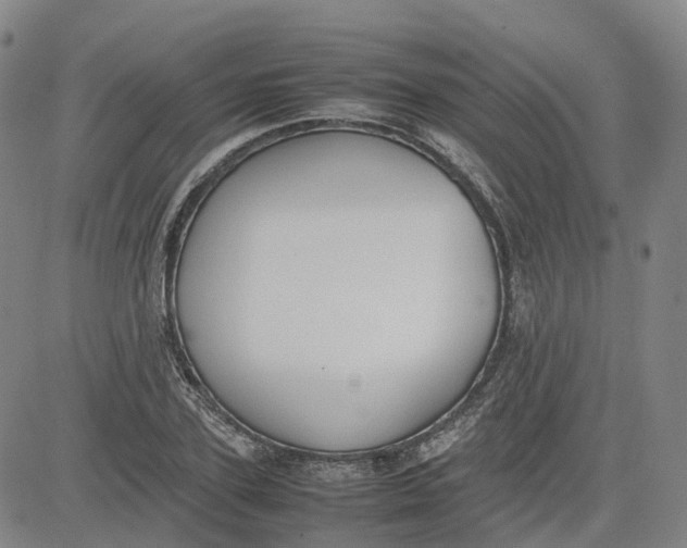 X0000080750931200701021027