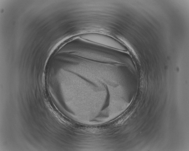 X0000080750932200701021027