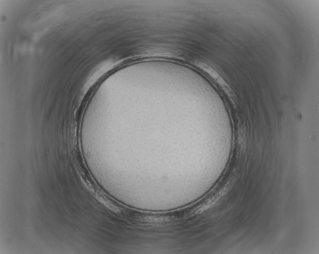 X0000080750933200701021027