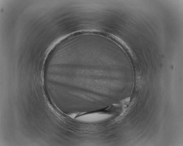 X0000080750935200701021027