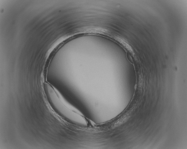 X0000080750936200701021027