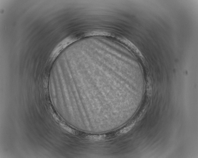 X0000080750937200701021027
