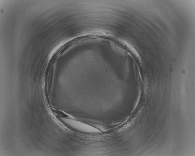 X0000080750944200701021027