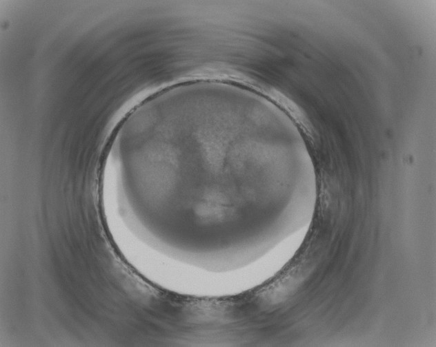 X0000080750950200701021027