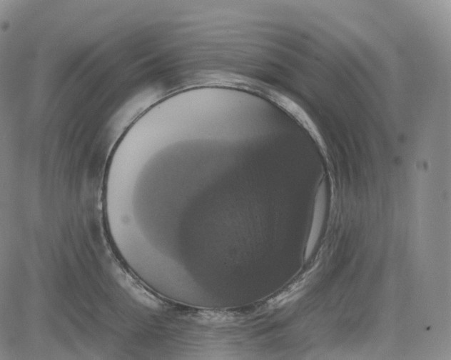 X0000080750954200701021028