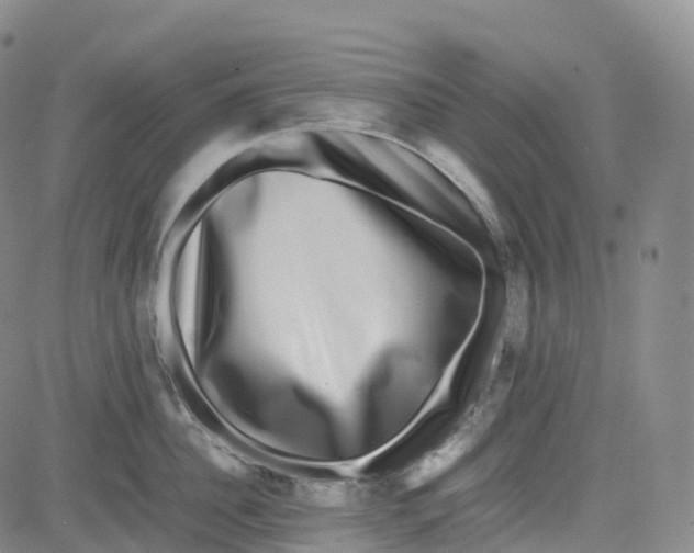 X0000080750956200701021028