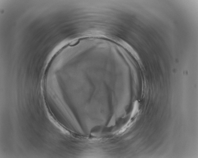 X0000080750958200701021028