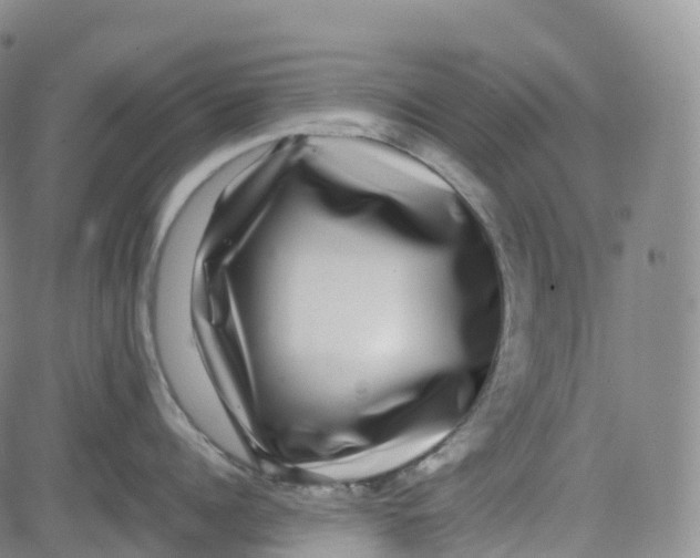 X0000080750960200701021028