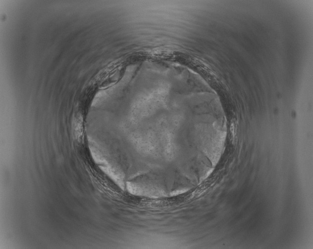 X0000080750963200701021027