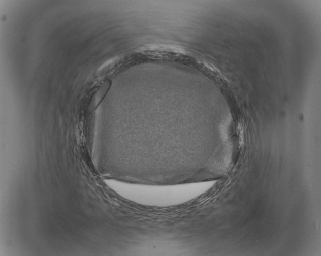 X0000080750965200701021027