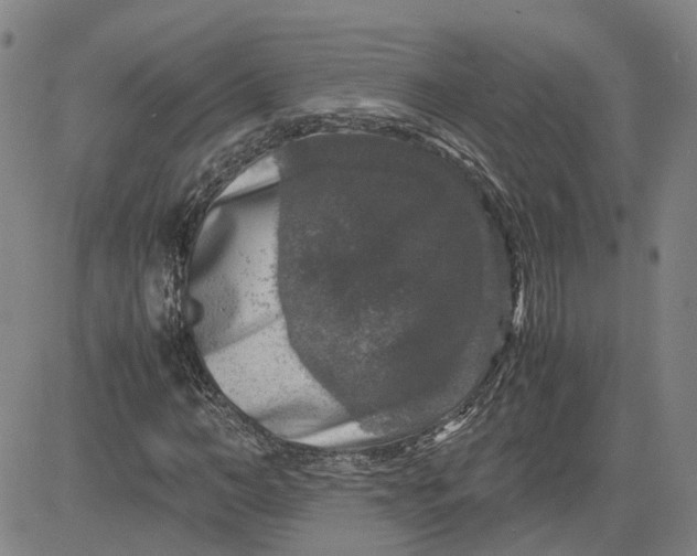 X0000080750966200701021027