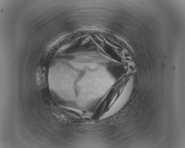 X0000080750968200701021027