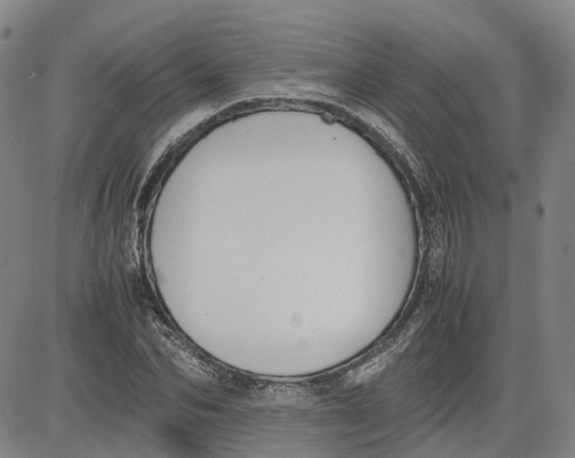 X0000080750974200701021027