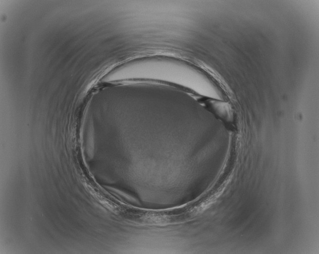 X0000080750977200701021027